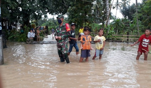 Belasan Sapi Hanyut Terbawa Banjir di Enrekang