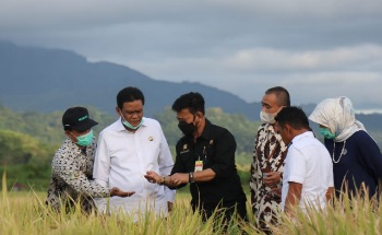 Selain Guyur Petani 4 M, Mentan Syahrul juga Puji Kinerja Bupati Barru