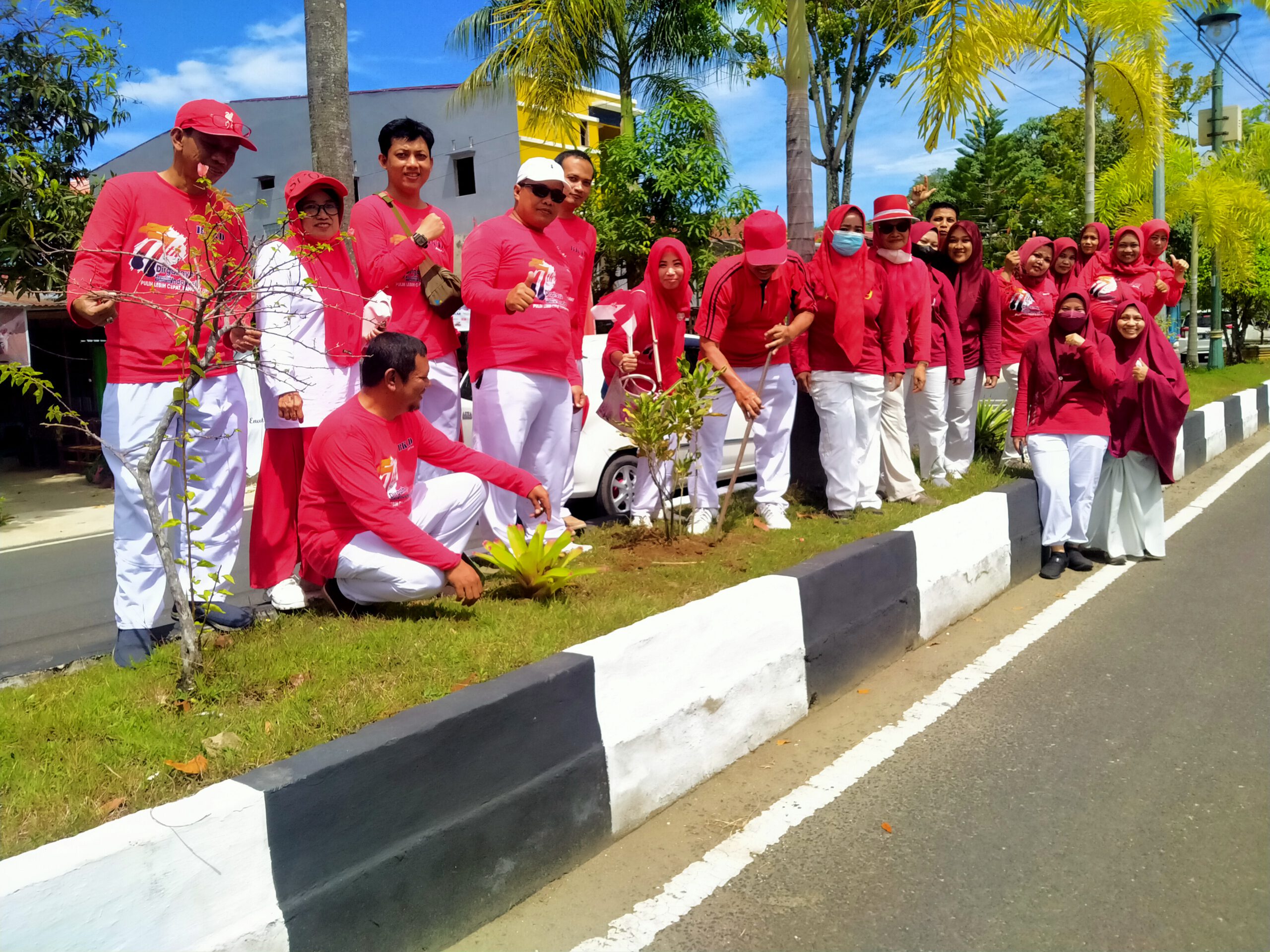 Jelang HUT RI, BPKAD Lakukan Gerakan Merdeka Tanam Pohon dan Kembang Sepanjang Jalur Dua