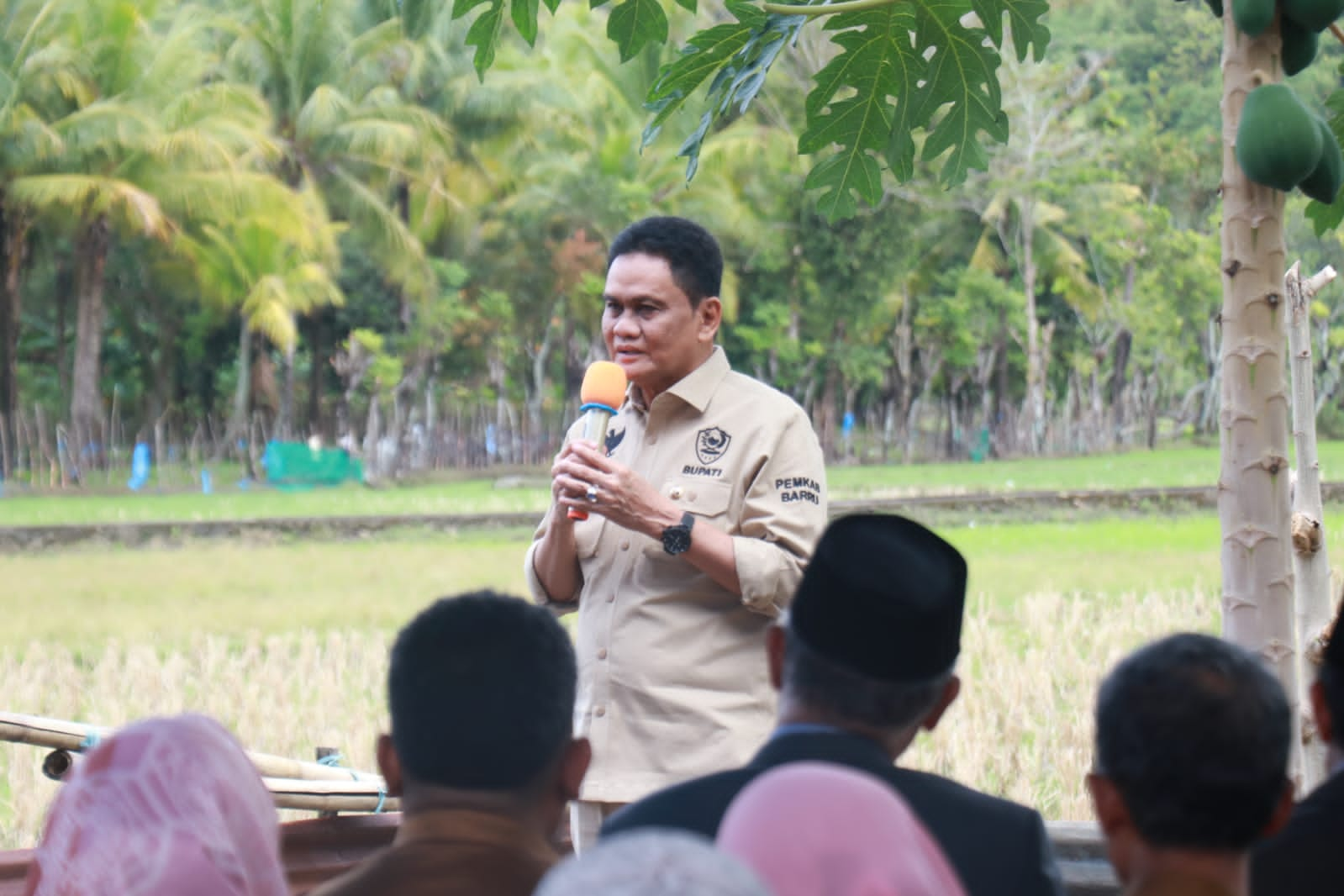 Hadiri Mappalili di Desa Cilellang, Bupati Barru Dorong Petani Tingkatkan Kwalitas Panen