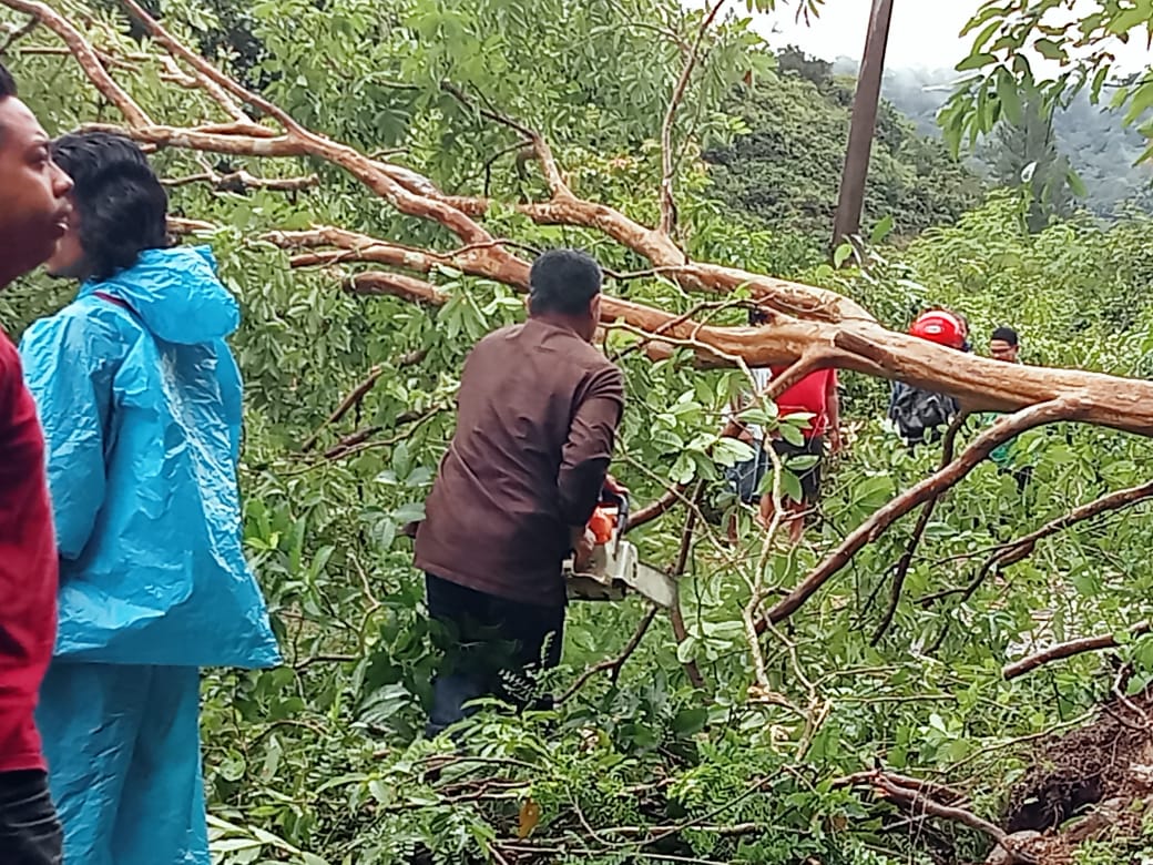Kades Pujananting Dan Warga Bergotong Royong Bersihkan Pohon Tumbang Pasca Lonsor