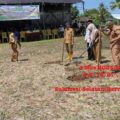 Tradisi Mappalili MT 2024/2025 Di Sawah Nene Onde Desa Cilellang