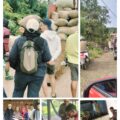 Pengawasan Gabah, Babinsa, Pemdes Dan BPD Batupute Aktif di Lapangan