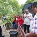 "Program Ekonomi Berkecukupan Resmi Diluncurkan: Barru Menuju Kemandirian Pangan dan Sejahtera"