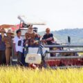 Panen Padi di Soppeng Riaja Sukses, Bupati Turun Langsung Gunakan Combine Harvester