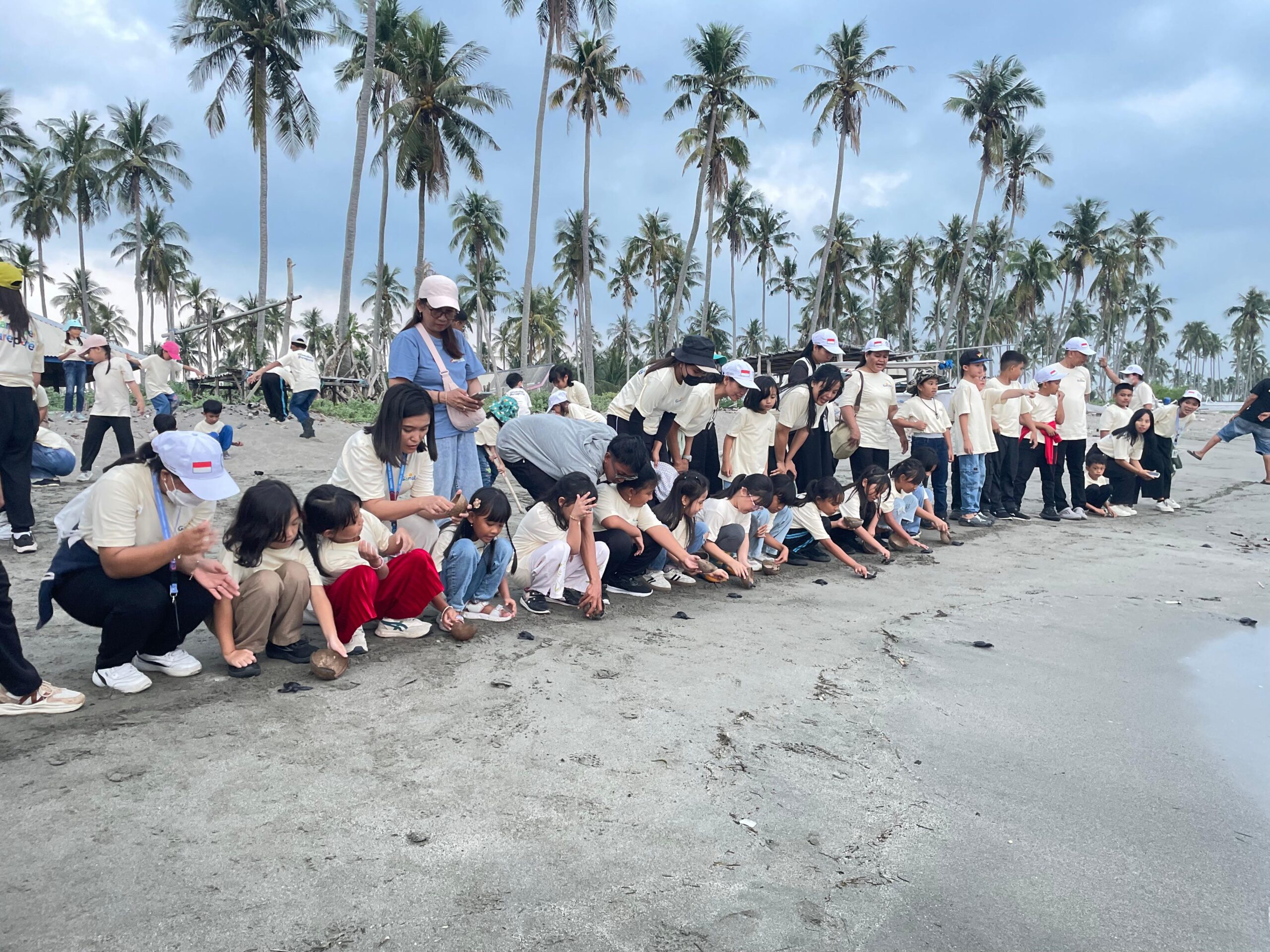 Pantai Lowita: Wisata Edukasi dan Konservasi Penyu Pertama di Kabupaten Pinrang