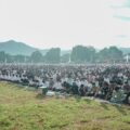 Shalat Iduladha di Palanro, Bupati Barru Pastikan Pemerintah Hadir hingga Tingkat Kecamatan